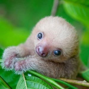 Meet your Posher, Richard